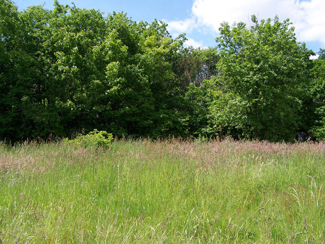 Terrain à CHACE