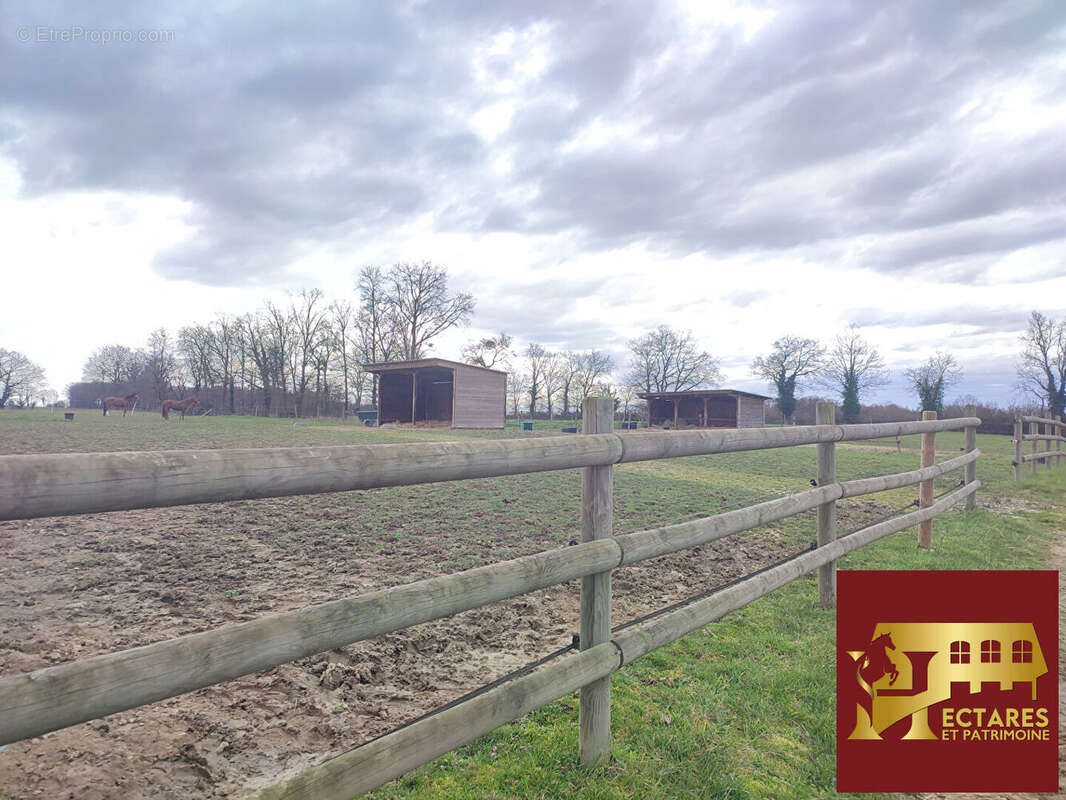 Maison à NEUVILLE-LES-DAMES