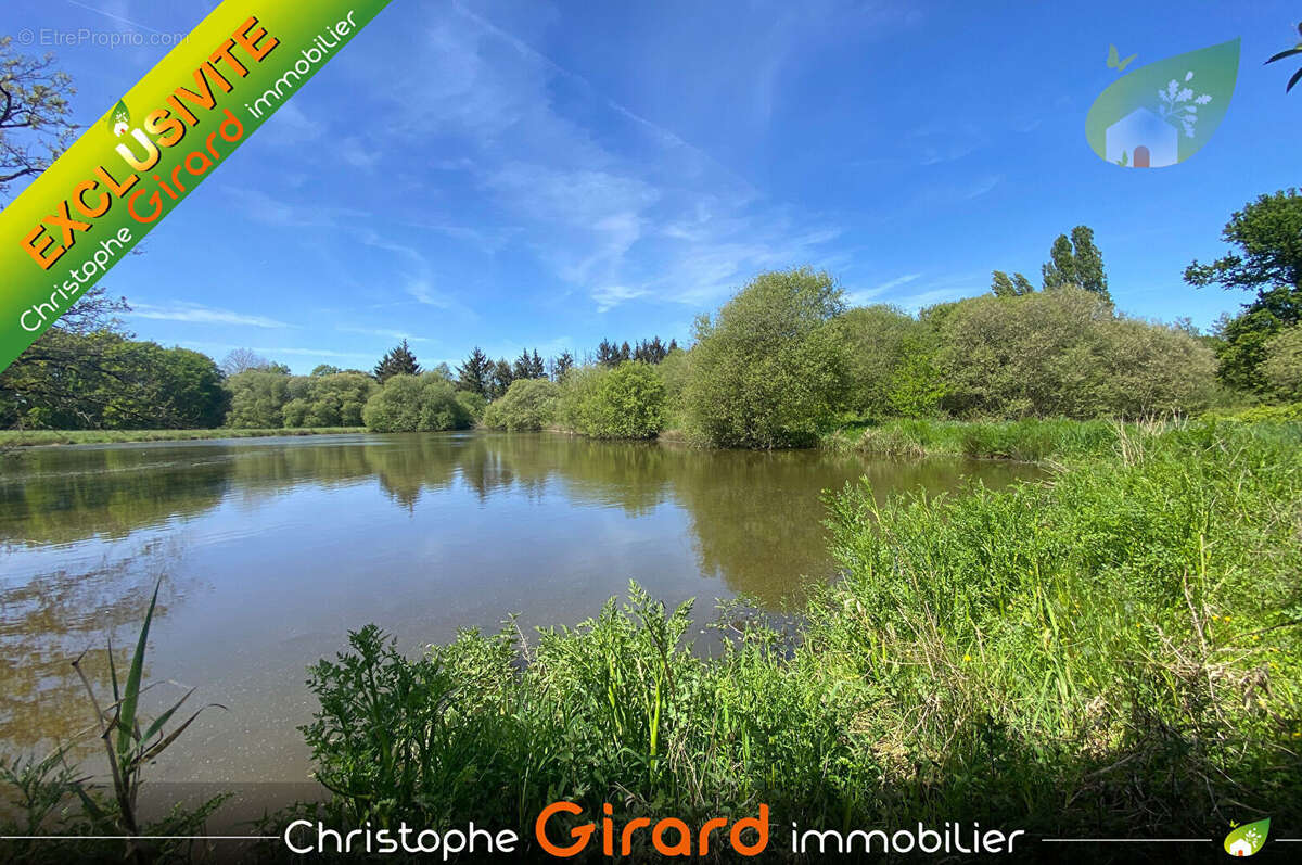 Terrain  etang a vendre  a vignoc  (35630) - 30 825 m² - photo 6
