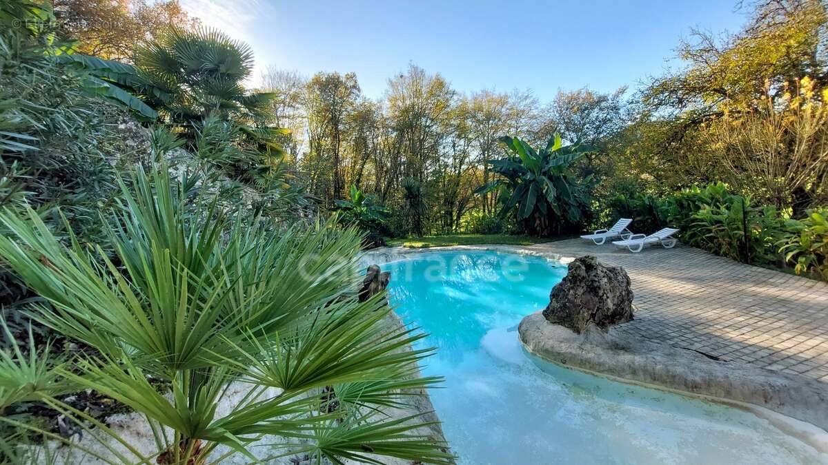 A vendre. Ensemble de 250m² à Tursac (24) avec maison d'habitation, gîte, piscine lagon sur près de 1,5 hectares de terrain en p - photo 12