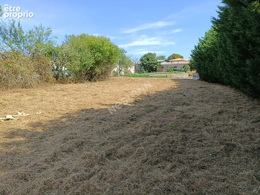Terrain à MONTREVAULT