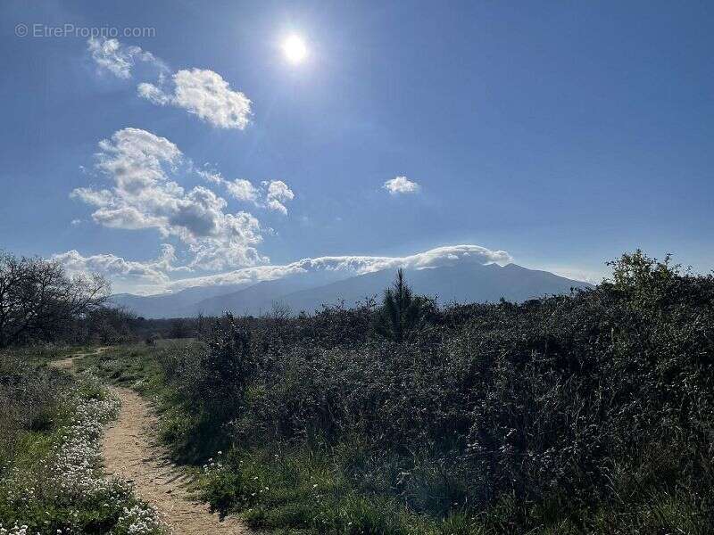 Terrain à TRESSERRE