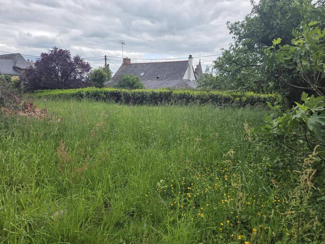 Photo Terrain à Saint-Michel-De-Feins au prix de 25 000€