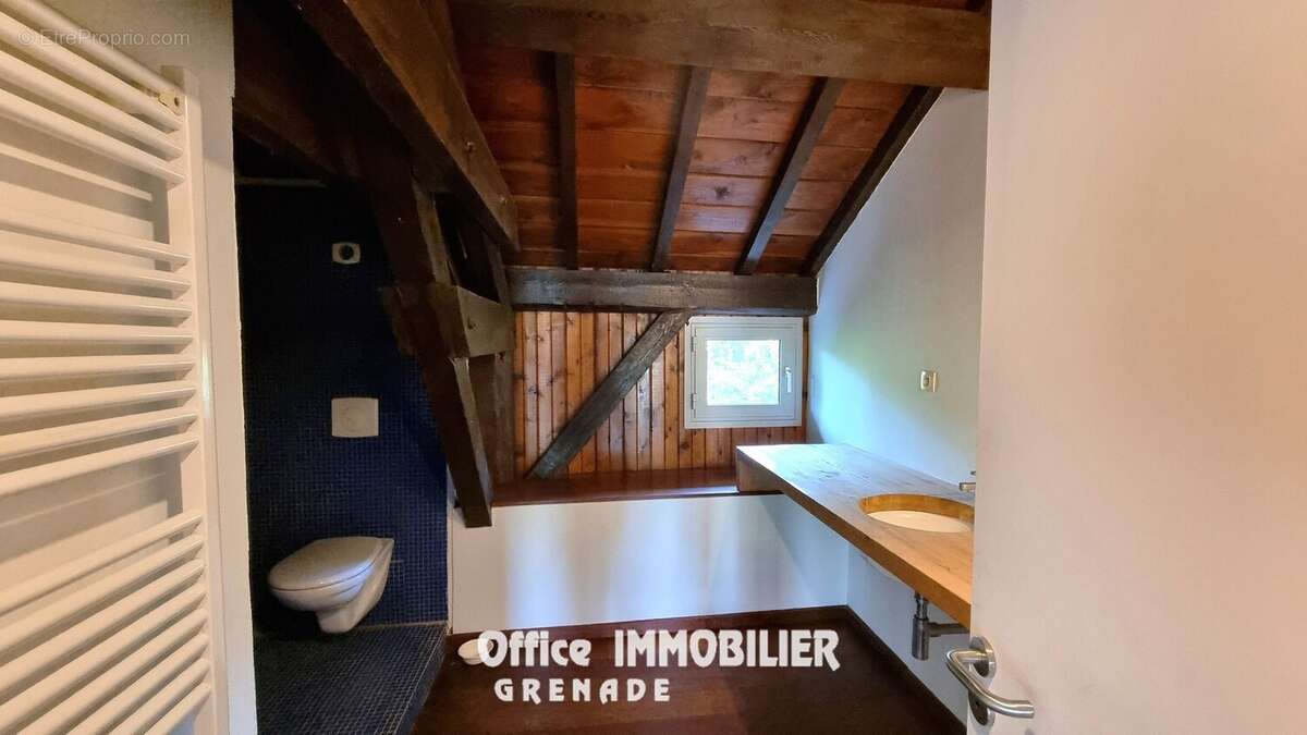 Commerce 260 m² à Grenade  - photo 15