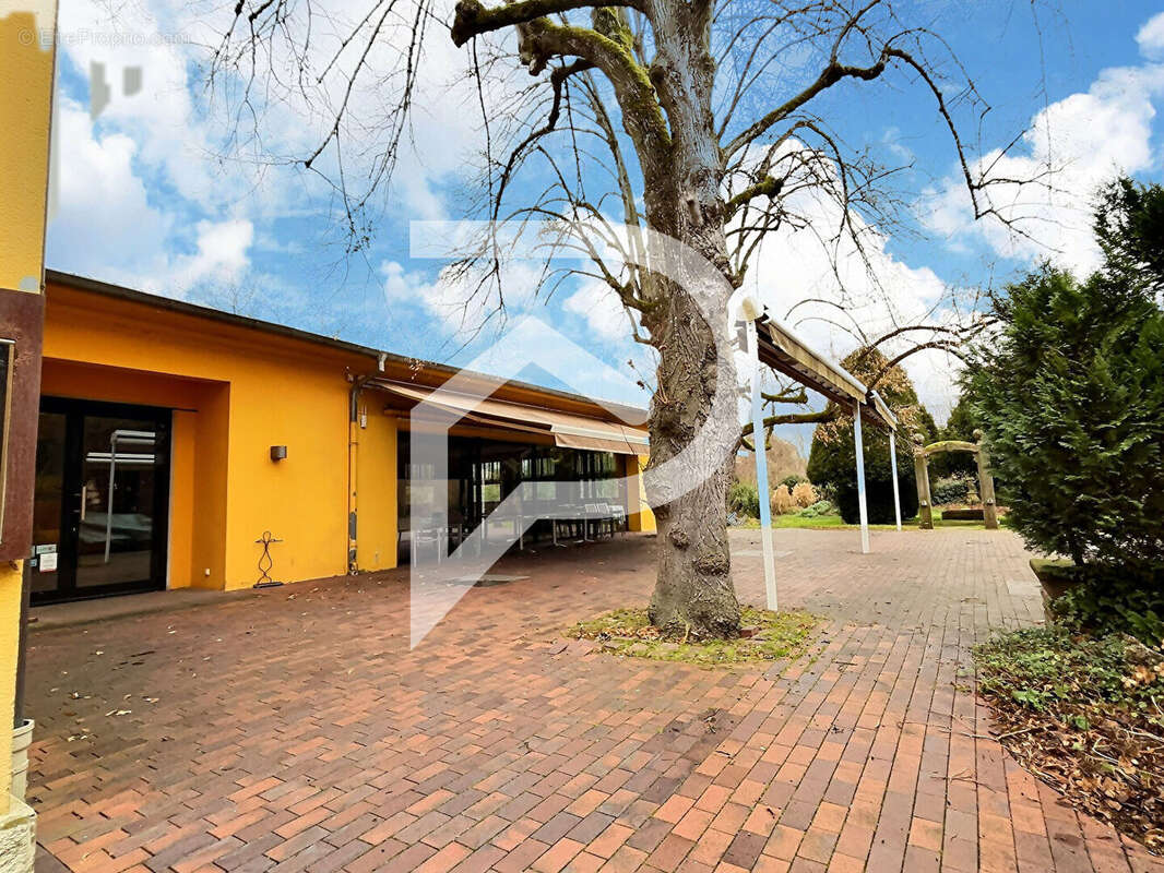 Commerce à LA WANTZENAU