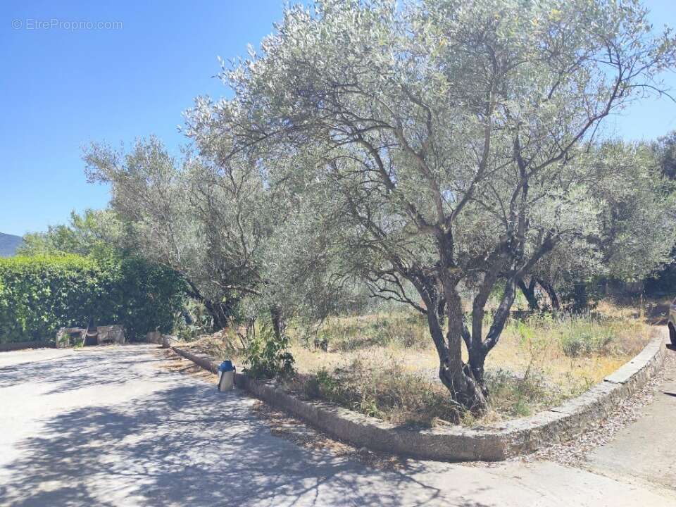 Terrain à PIGNANS