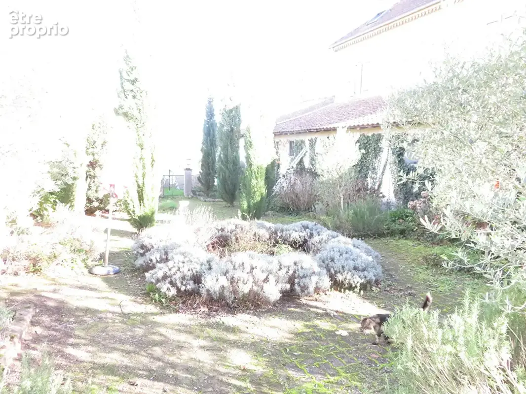 Maison Rabastens De Bigorre 8 pièce(s) 260 m2 - photo 18