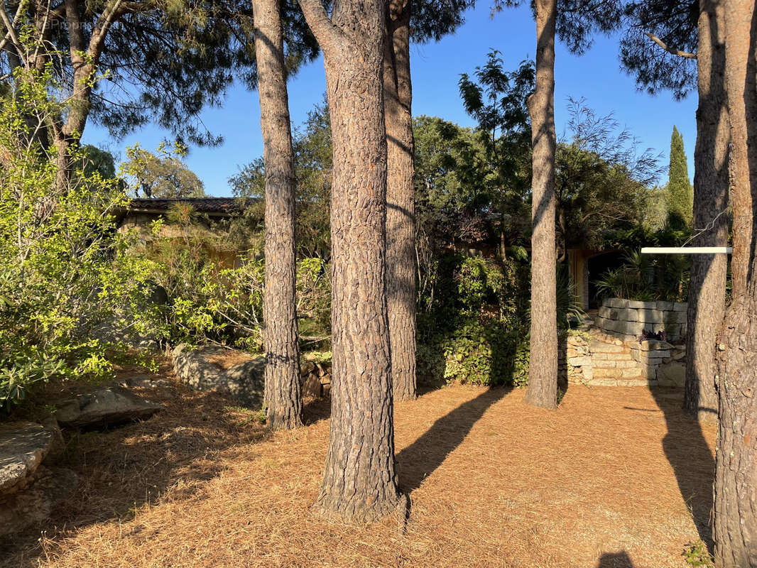 Maison à PORTO-VECCHIO