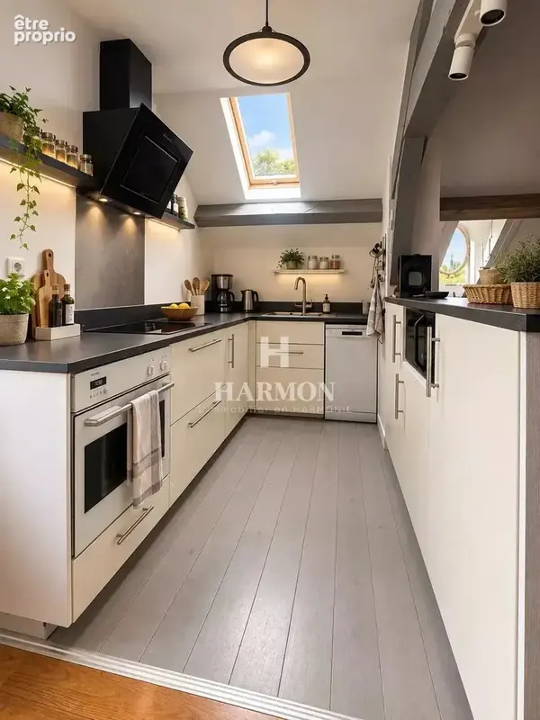 HARMON A VENDRE : Appartement de charme avec deux grandes terrasses à Salies-de-Béarn - photo 8