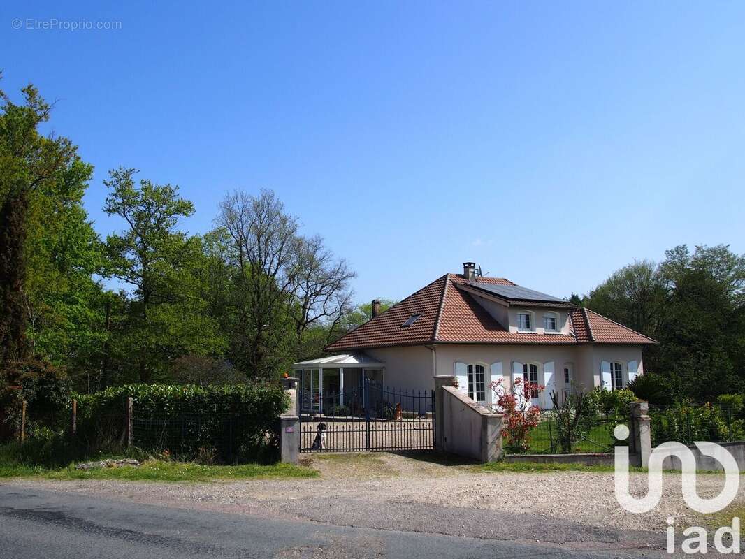 Photo 5 - Maison à BEAUPUY