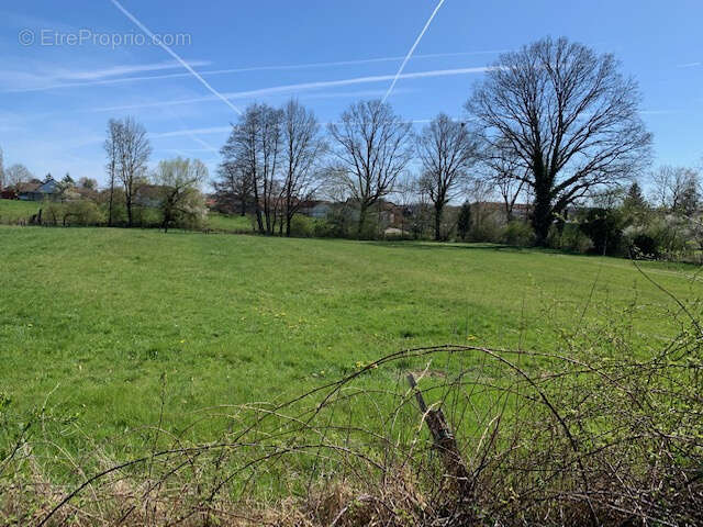Terrain à XERMAMENIL