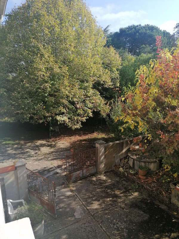 Maison à LISLE-SUR-TARN