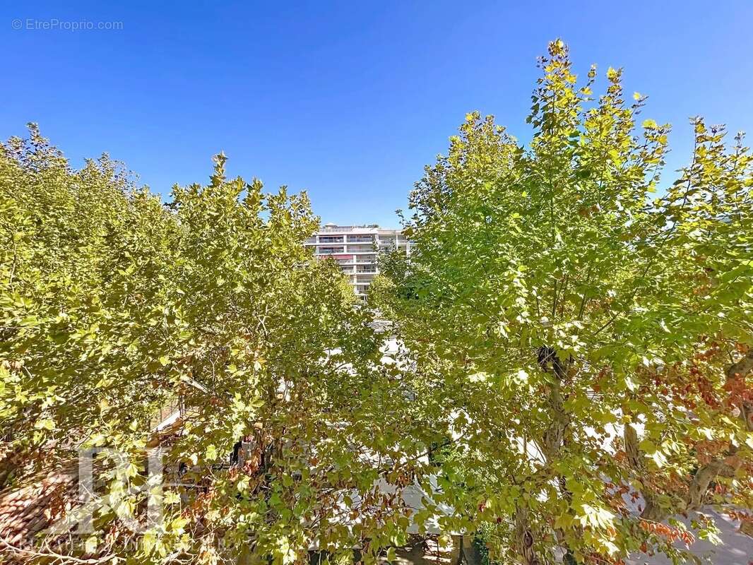 Cannes Palm Beach / Co-exclusivité / Très beau 2P rénové 40 m2 avec terrasse - photo 14