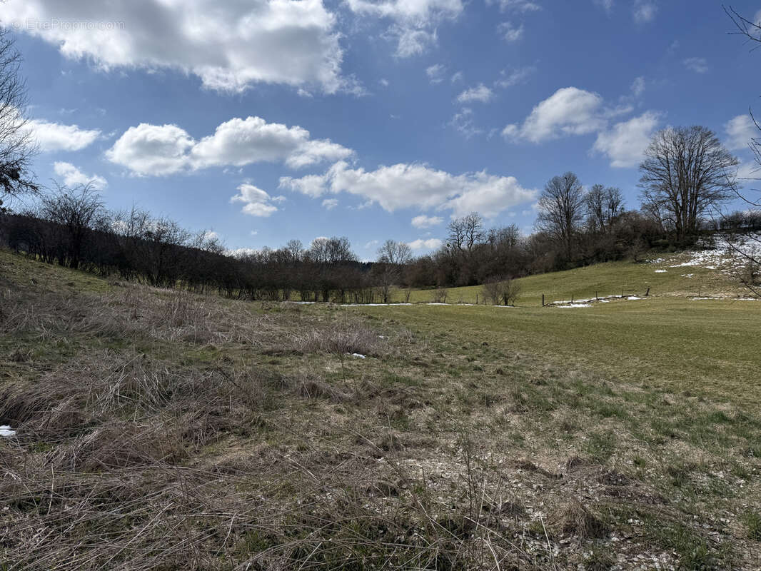 Terrain à DAMPRICHARD