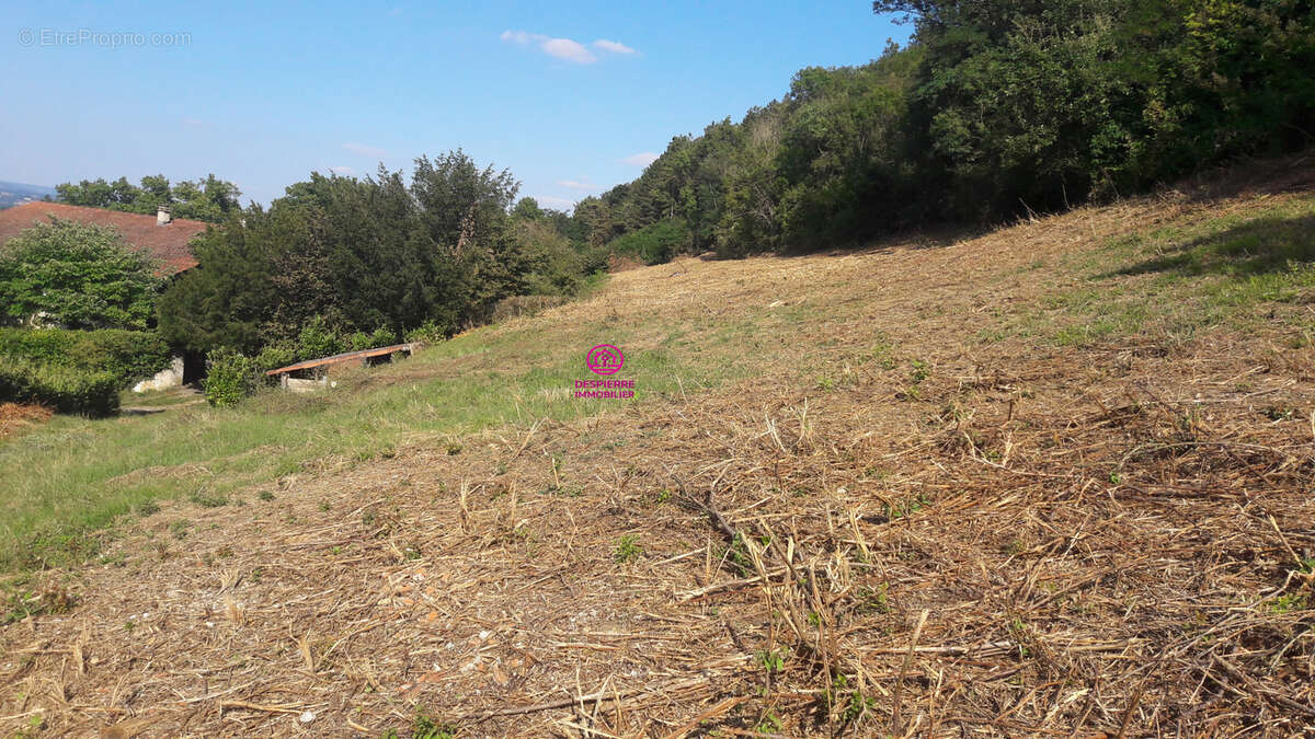 Terrain à MORAS-EN-VALLOIRE