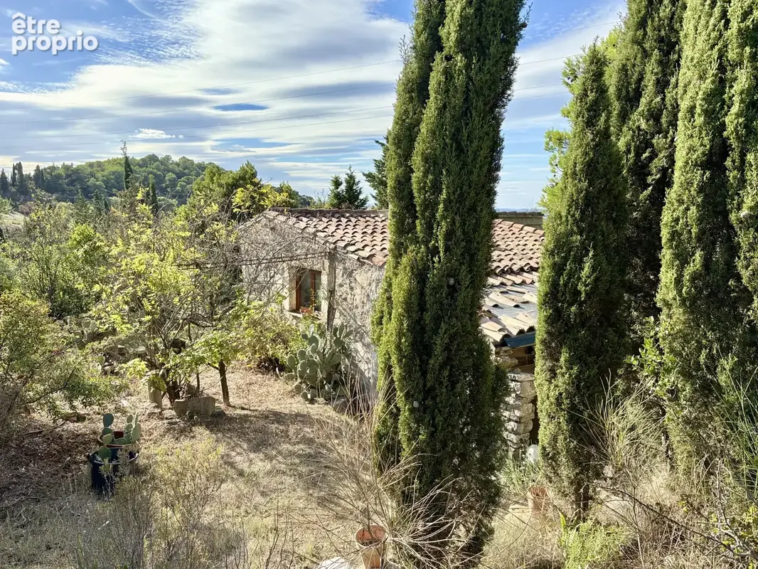 Propriété composée de 3 gîte et une habitation - photo 18