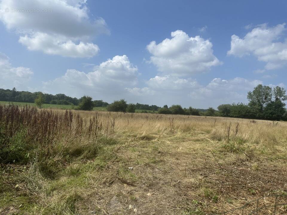 Terrain à SAINT-BENOIT-DES-OMBRES