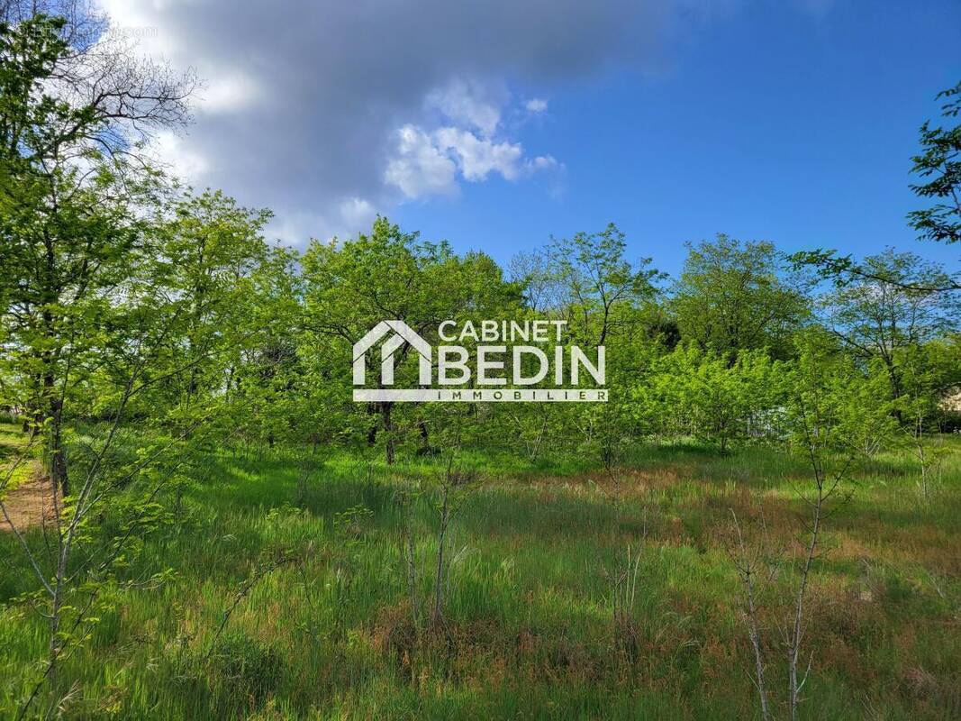 Terrain à SANGUINET