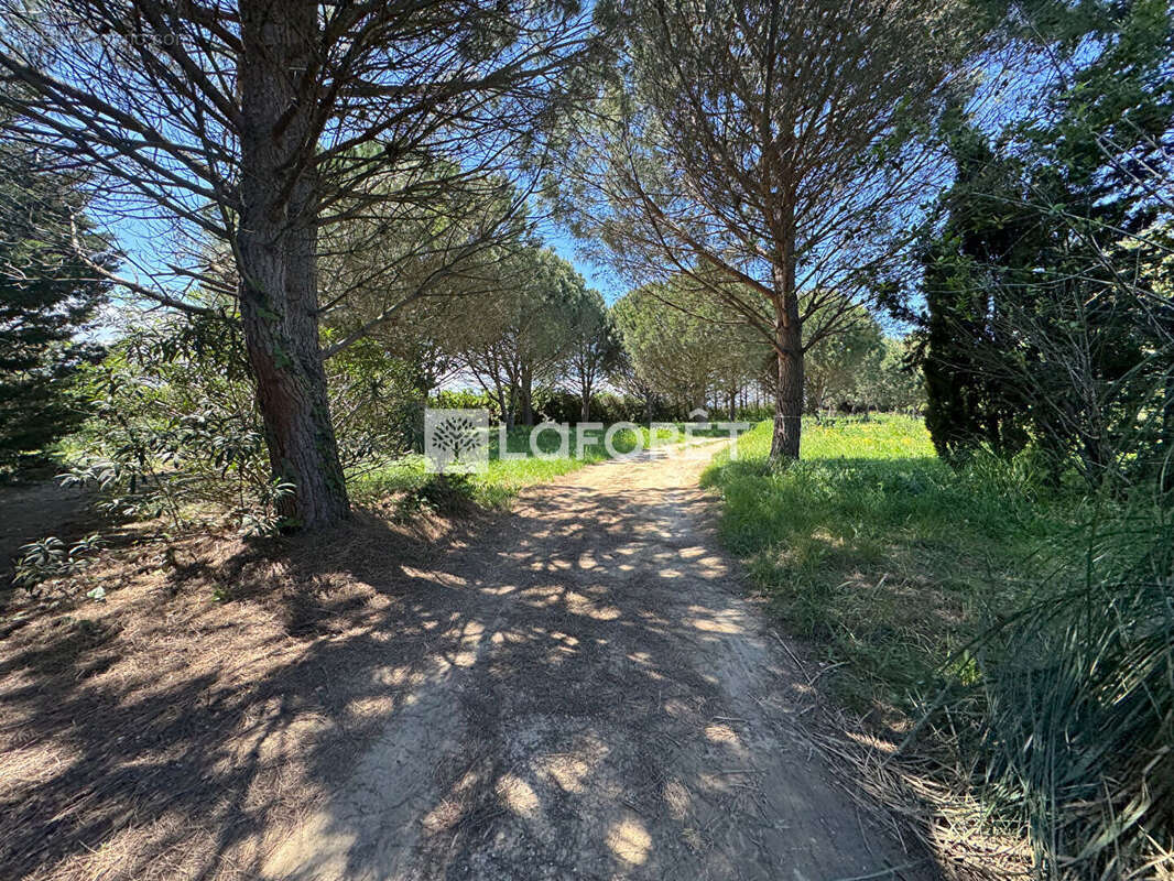 Terrain à SAINT-CYPRIEN