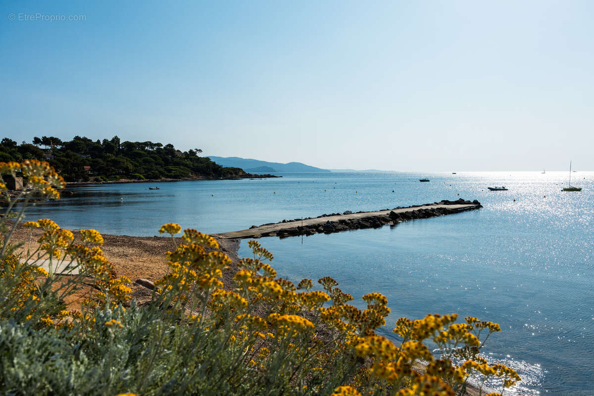 Terrain à BORMES-LES-MIMOSAS