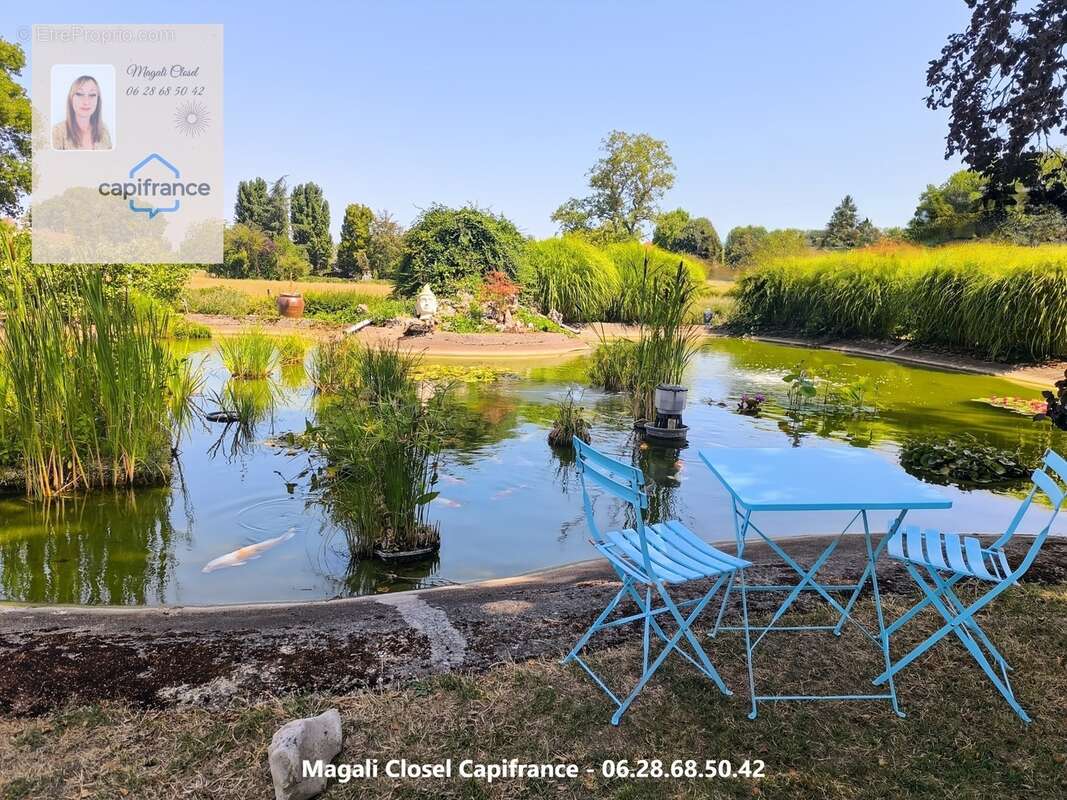 Maison à vendre 8 pièces avec Bassin et piscine. Pierre de Bresse - photo 19