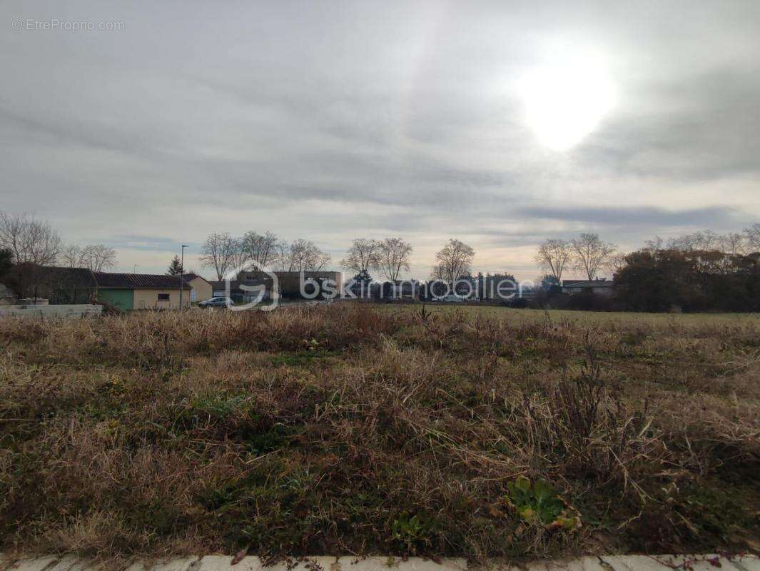 Terrain à RABASTENS