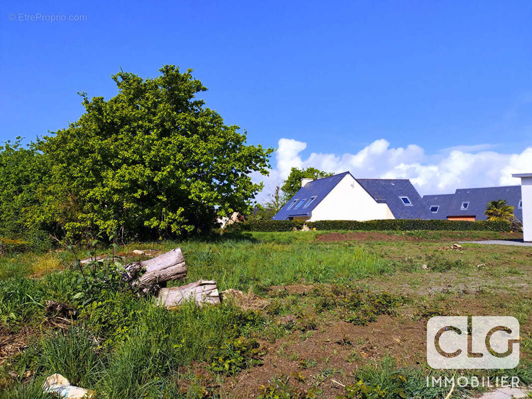 Terrain à CONCARNEAU