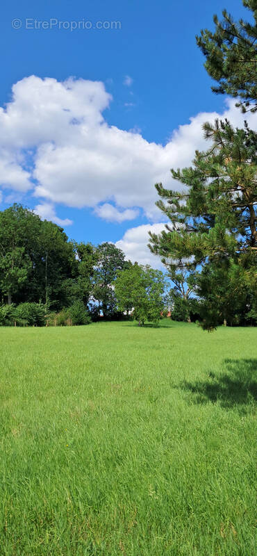 Terrain à SAINT-MICHEL-SUR-TERNOISE