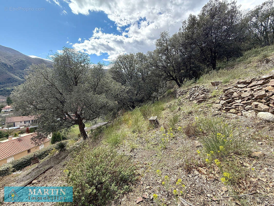 Maison à ARLES-SUR-TECH