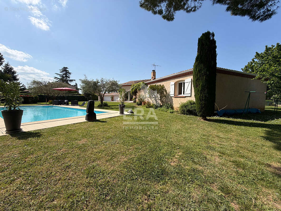 Maison de standing Albi - Lasbordes 150m², piscine, garages 95m² - photo 12