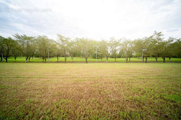 Terrain à CHAMPMOTTEUX