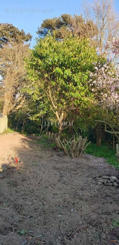 Terrain à PLOUGONVELIN