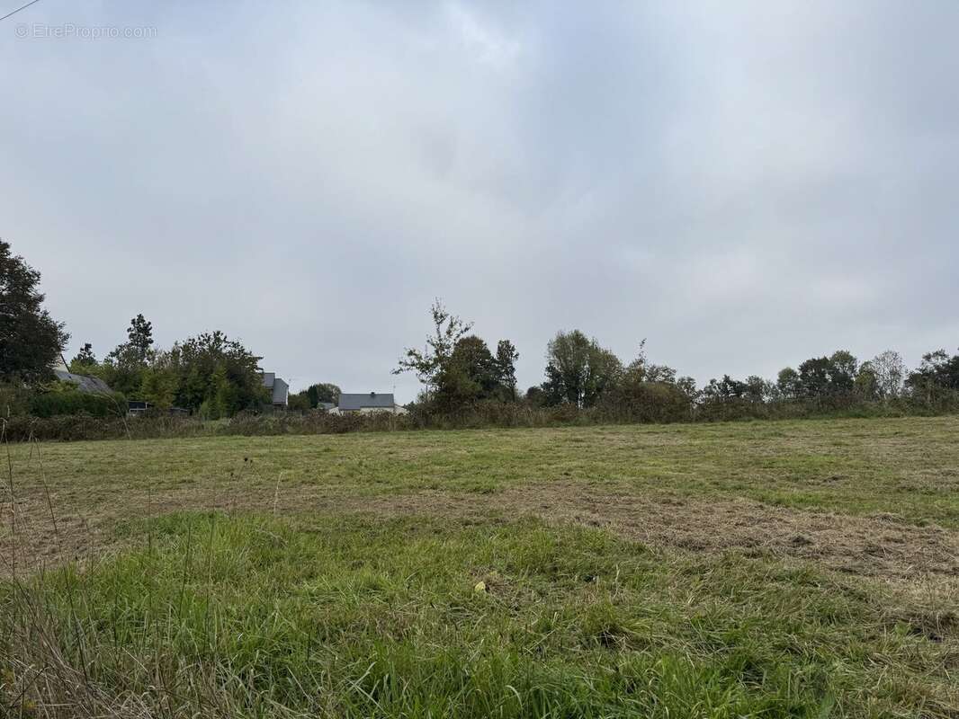 Terrain à QUIMPERLE