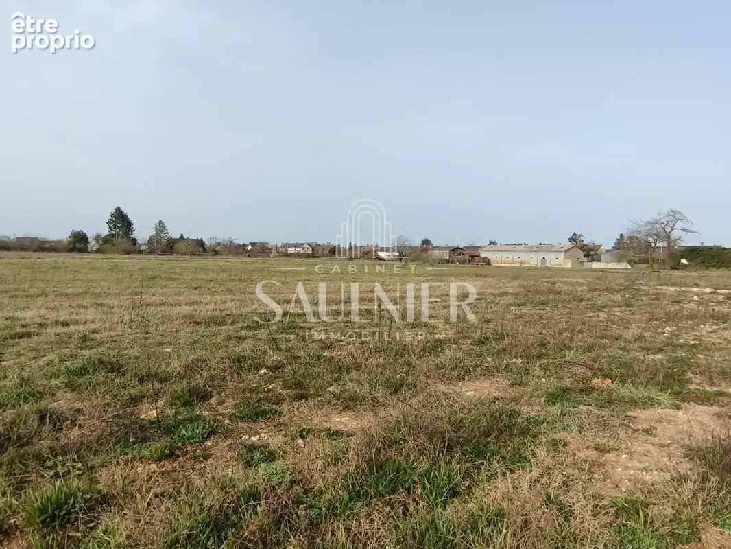 Terrain à vendre viabilisé 8206 m2 à montlivault - photo 4