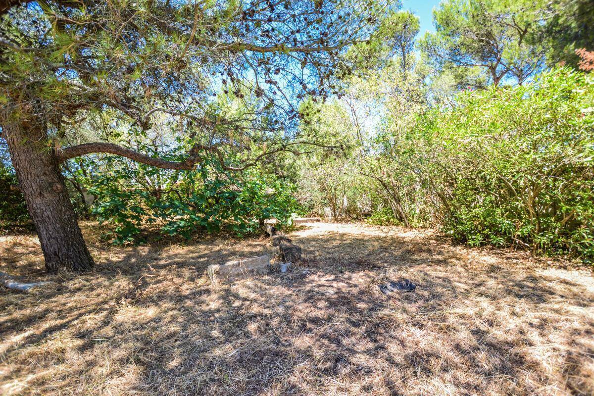 Terrain à VILLENEUVE-LES-AVIGNON