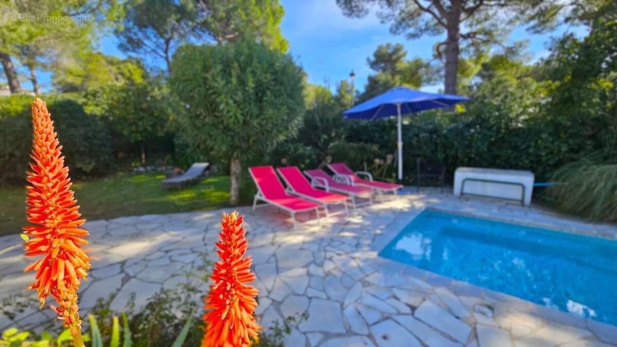 Maison à VILLENEUVE-LOUBET