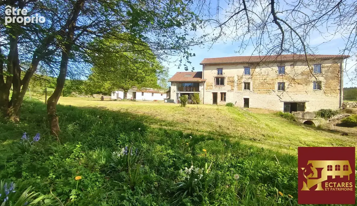 Ancien Moulin 4,3 hectares - photo 7