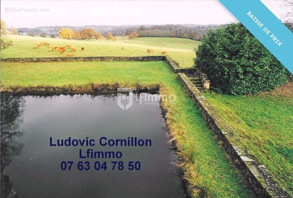 Propriété de charme 210m2, grange, 4ha, 2 étangs - photo 14