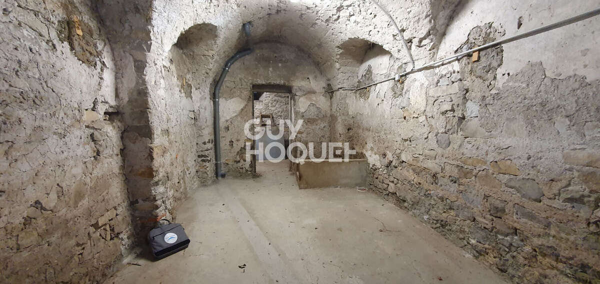 Maison d'exception avec garages, cave, local indépendant et parc arboré - photo 14