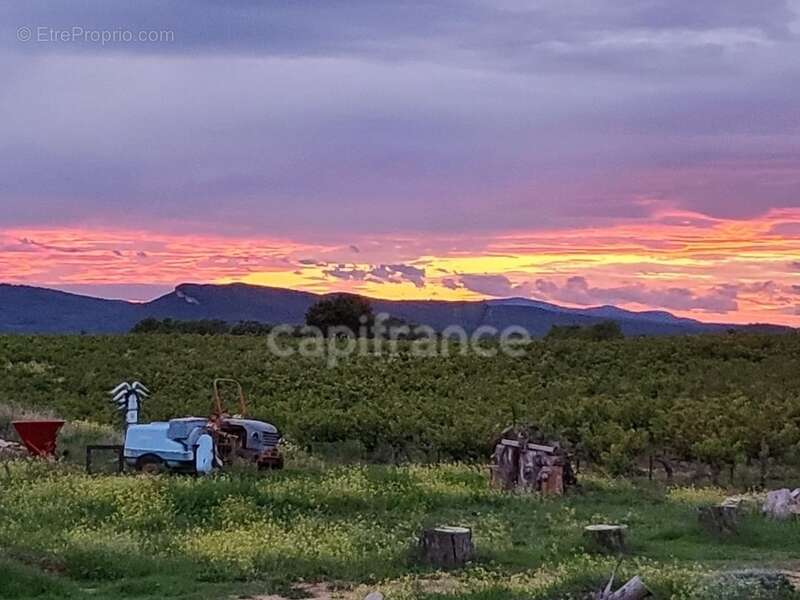 Dpt Gard (30), à vendre Propriété comprenant Mas d'habitation, activités gîtes - photo 11