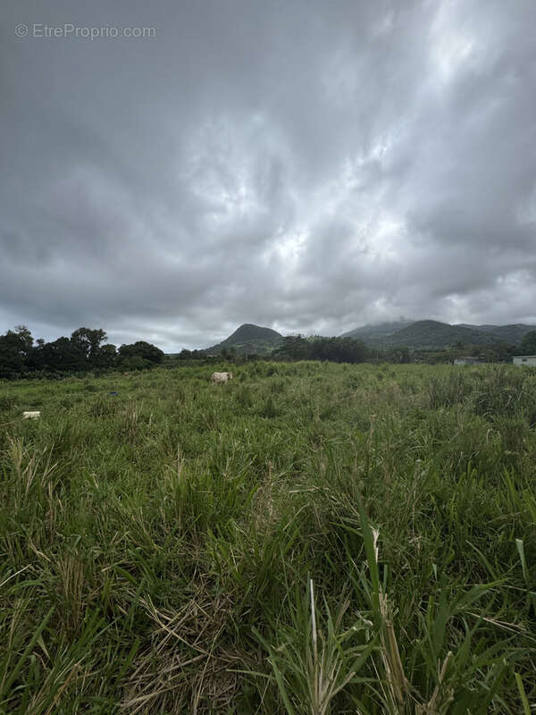 Terrain à CAPESTERRE-BELLE-EAU
