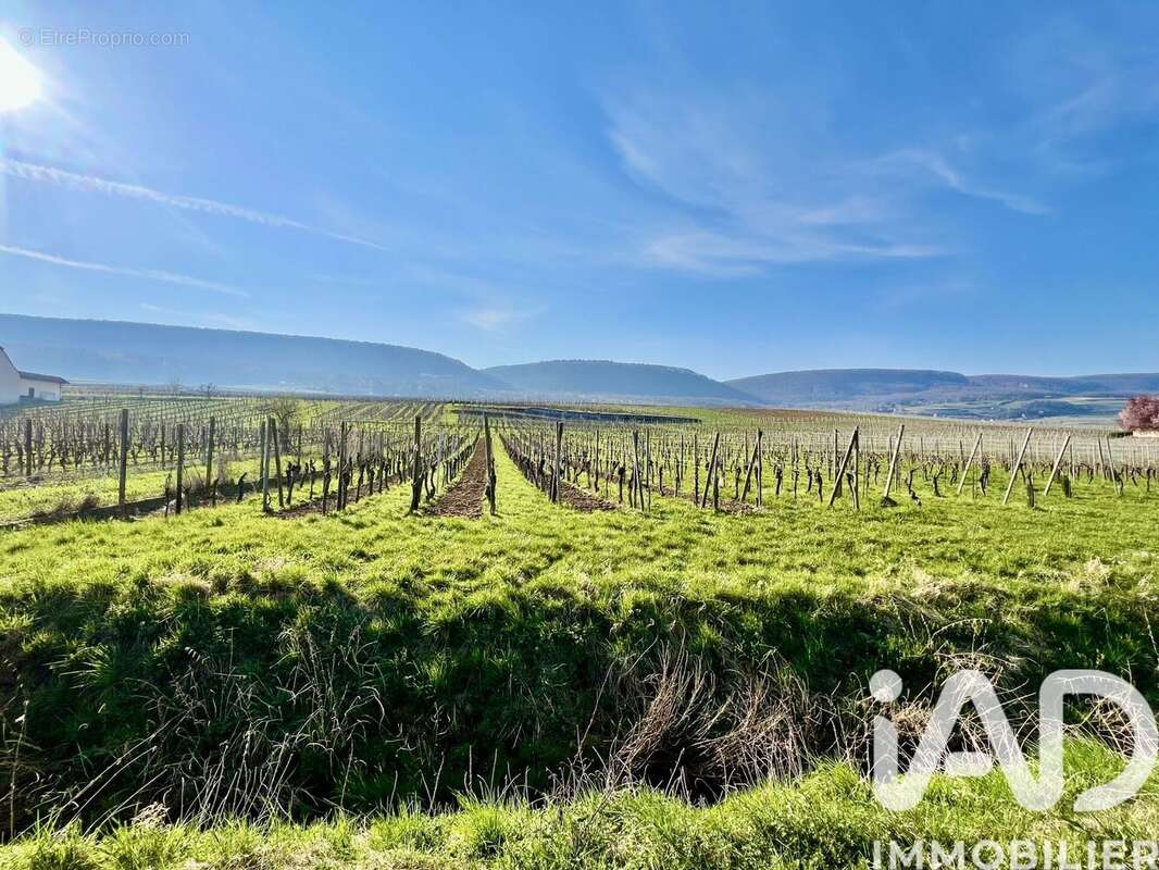 Photo 2 - Terrain à PFAFFENHEIM