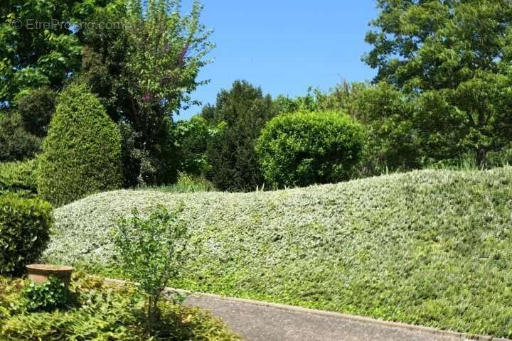 Maison à BOUTIERS-SAINT-TROJAN