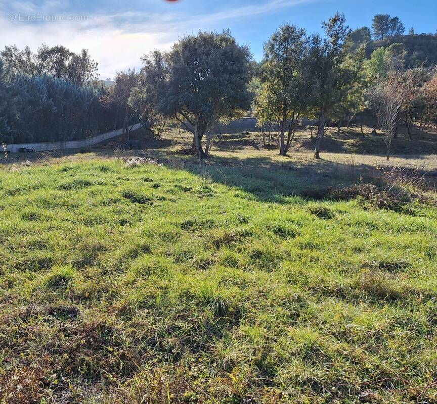 Terrain à SAINT-PAUL-LES-DURANCE