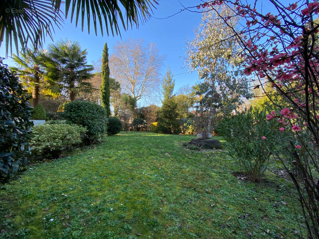 Maison à VILLENEUVE-SUR-LOT