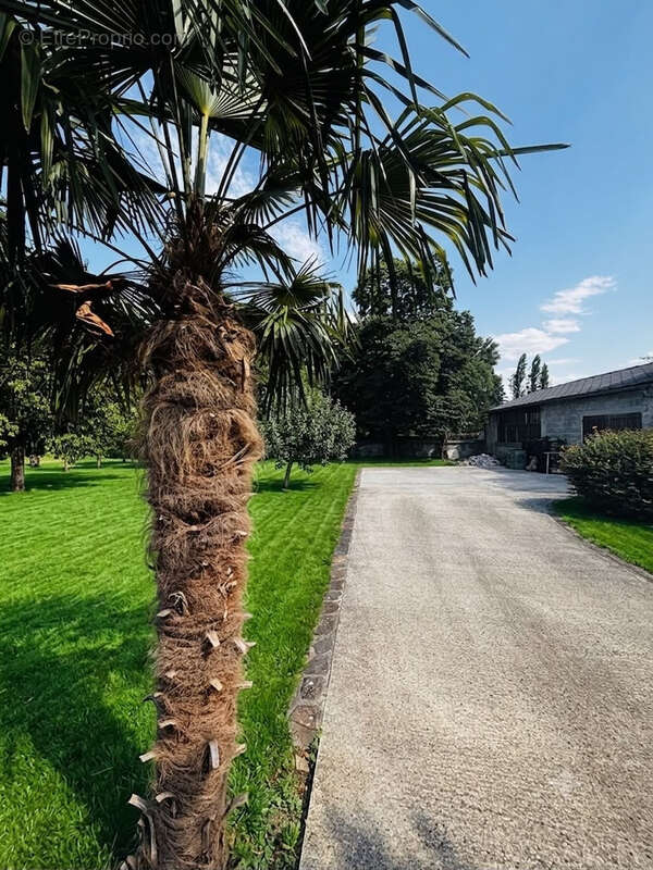 Maison de charme en pierre - Jardin arboré et piscine - 5 min d'Oloron ste Marie - photo 8