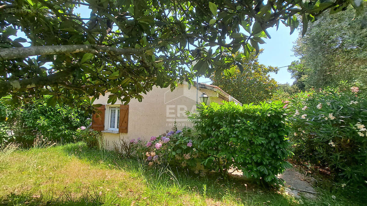 Maison à SAN-NICOLAO