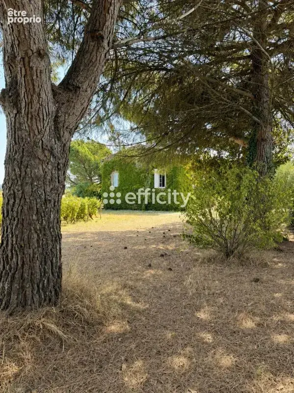 Maison 14 pièces 529 m² à vendre à Barsac (33720) - photo 40