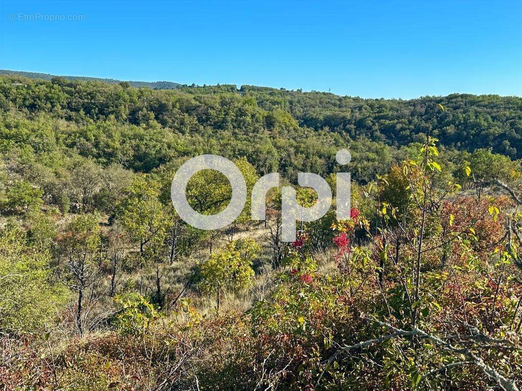 Terrain non constructible - photo 6