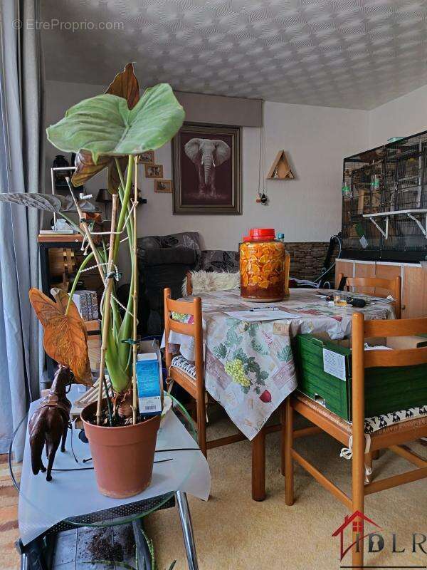 Appartement à VESOUL
